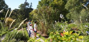 jardin de l'Arquebuse