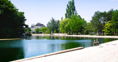 Le Jardin de l’Arquebuse invite à découvrir la nature en ville tout l’été